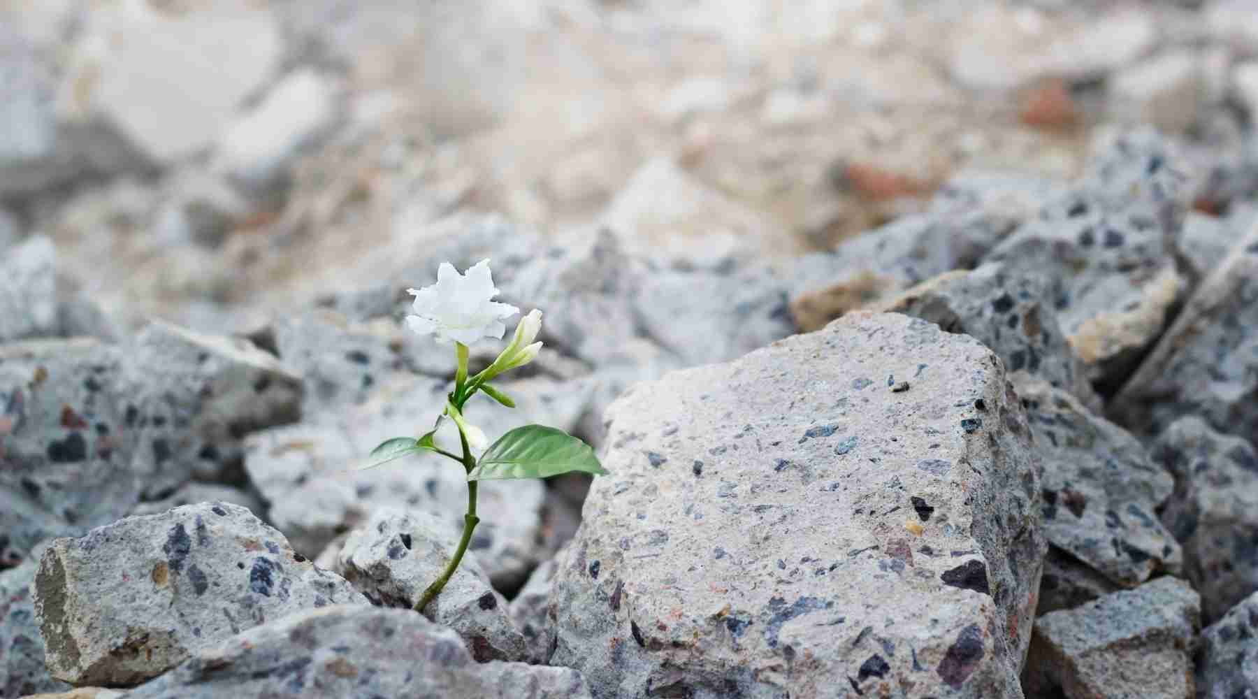 Struggling With Faith, Christian Clothing, Christian Hoodie, Christian Clothing Brands, Christian Apparel Brands, Christian Apparel, Christian T-Shirts, Christian Shirts, Christian Clothing T Shirts, God Shirts, Christian Clothes