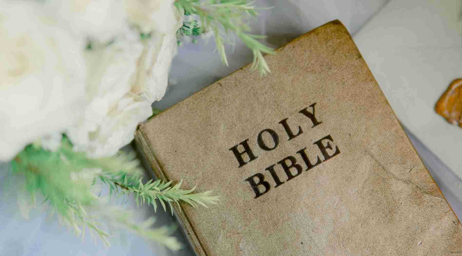 Bible Says about Trust, Christian Clothing, Christian Hoodie, God Is Dope, Elevated Faith, Red Letter Clothing, Christian Apparel, Christian T-Shirts, Christian Shirts, Christian Jewelry, T-Shirts About Jesus, Christian Clothing T Shirts