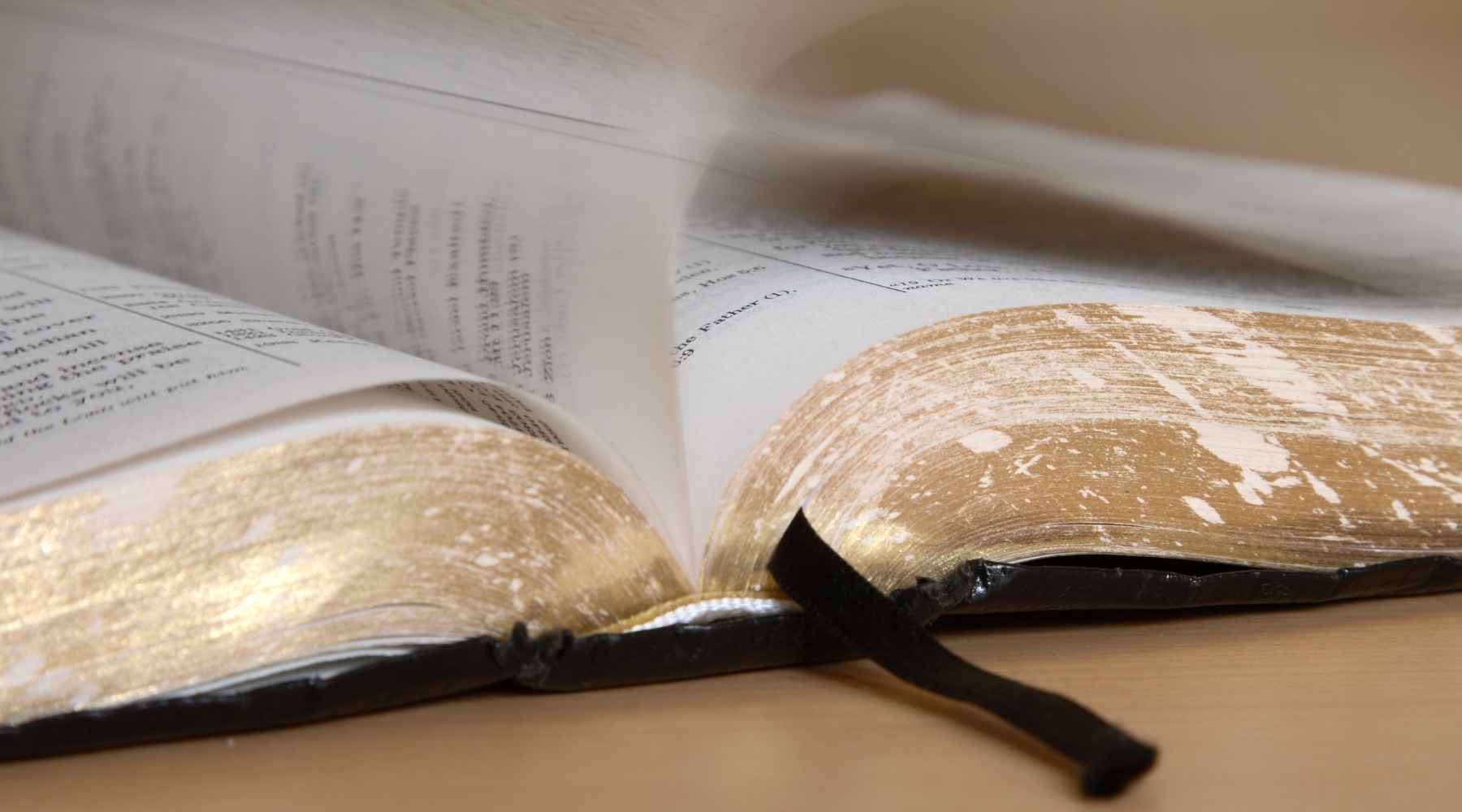 Memorize Scriptures, Christian Clothing, Christian Hoodie, Christian Clothing Brands, Christian Apparel Brands, Christian Apparel, Christian T-Shirts, Christian Shirts, Christian Jewelry, Christian Clothing T Shirts, God Shirts