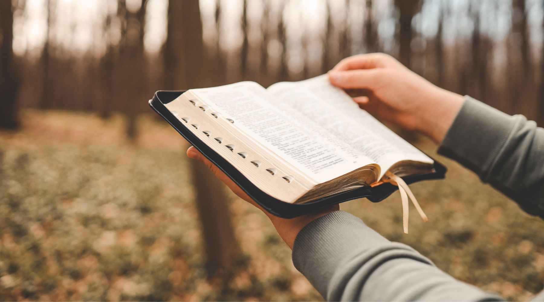 Stewardship Principles from Scripture, Christian Shirts, Christian Clothing, Christian Hoodie, Christian Clothing Brands, Christian Apparel Brands, Christian Apparel, Christian T-Shirts, Christian Shirts, Christian Jewelry, Christian Clothing T Shirts