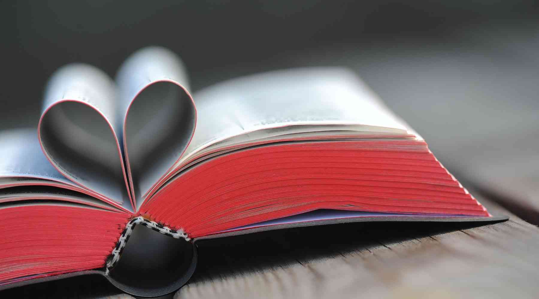 Bible Says About Love, Christian Clothing, Christian Hoodie, God Is Dope, Elevated Faith, Red Letter Clothing, Christian Apparel, Christian T-Shirts, Christian Shirts, Christian Jewelry, T-Shirts About Jesus, Christian Clothing T Shirts