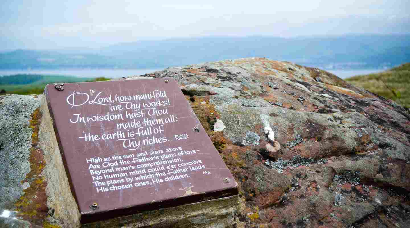 Psalm 91, Christian Clothing, Christian Hoodie, Christian Clothing Brands, Christian Apparel Brands, Christian Apparel, Christian T-Shirts, Christian Shirts, Christian Jewelry, Christian Clothing T Shirts, God Shirts, Psalm 23, Christian Clothes